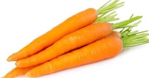 Морковь полезные свойства