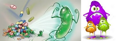 Бактерии, которые часто подвергаются действию антибиотиков, развивают устойчивость к ним